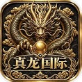 真龙国际